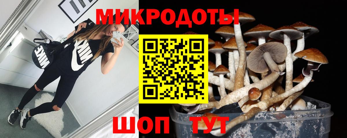 Галлюциногенные грибы Psilocybe  Вход с VPN  Мичуринск 