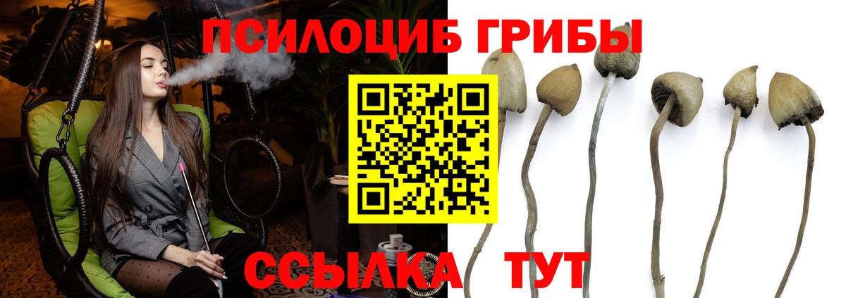 Псилоцибиновые грибы прущие грибы Мичуринск